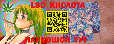 молекула духа Донской