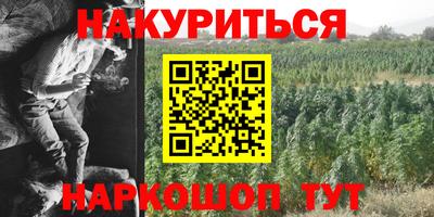 молекула духа Донской