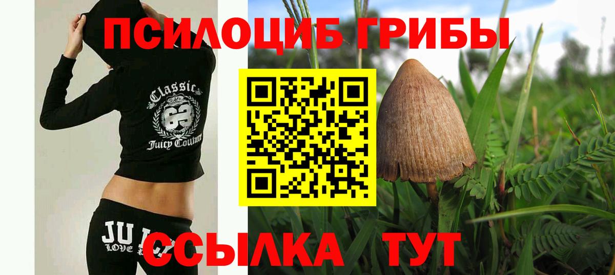 Псилоцибиновые грибы Psilocybine cubensis Куйбышев