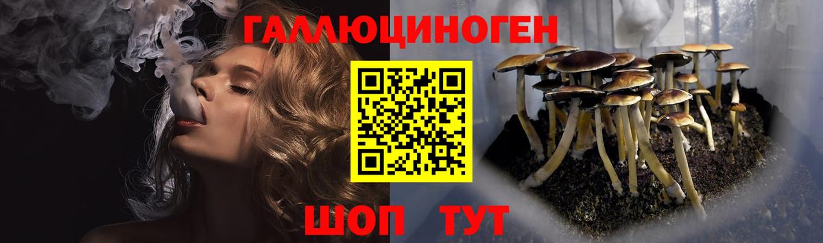 Куйбышев  Псилоцибиновые грибы Psilocybine cubensis  Вход с VPN 